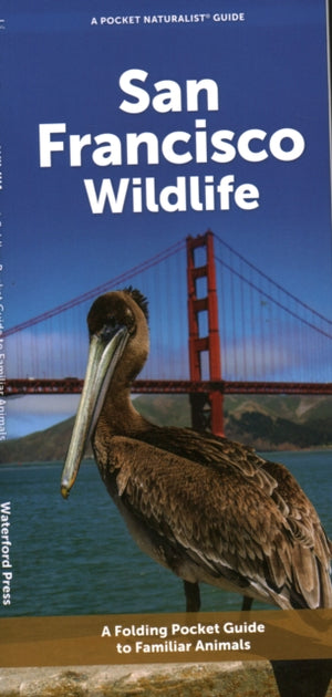 San Francisco Wildlife