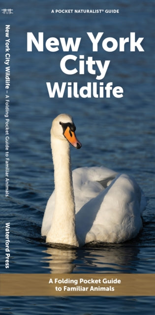 Book cover of: New York City Wildlife