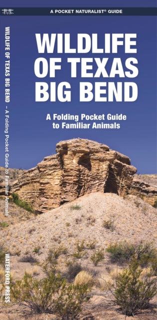 Book cover of: Wildlife of Texas Big Bend. By: Waterford Press Staff