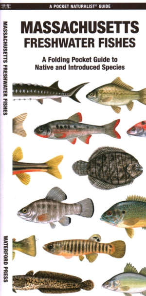 Massachusetts Freshwater Fishes