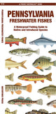 Book cover of: Pennsylvania Freshwater Fishes. By: Waterford Press Staff
