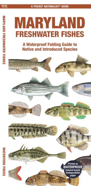 Book cover of: Maryland Freshwater Fishes. By: Waterford Press Staff