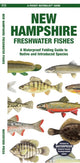 Book cover of: New Hampshire Freshwater Fishes. By: Waterford Press Staff