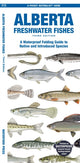 Book cover of: Alberta Freshwater Fishes. By: Matthew Morris
