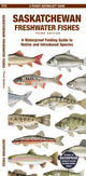 Book cover of: Saskatchewan Freshwater Fishes. By: Matthew Morris