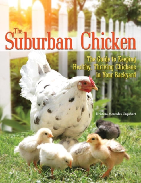 Book cover of: Suburban Chicken. By: Kristina Mercedes Urquhart
