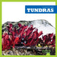 Book cover of: Tundras