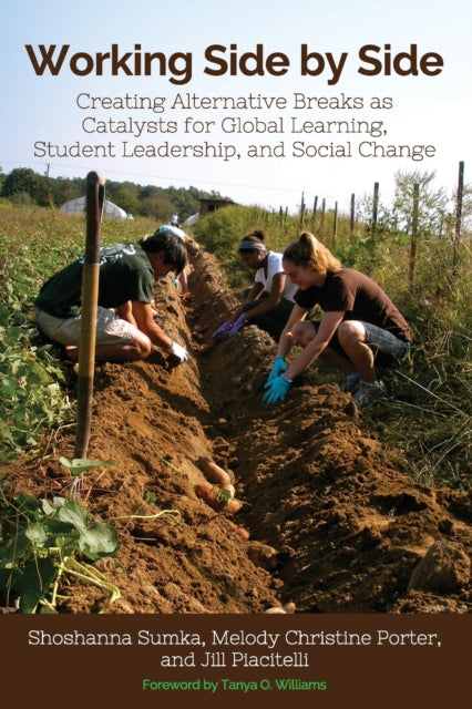 Book cover of: Working Side by Side. By: Jill Piacitelli