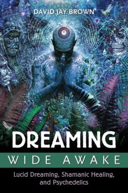 Book cover of: Dreaming Wide Awake. By: David Jay Brown