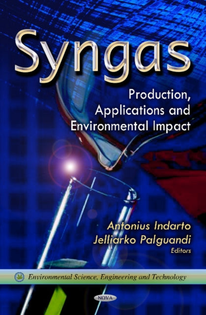 Book cover of: Syngas. By: Antonius Indarto