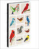 Book cover of: Sweet Creatures Small Bullet Journal. By: Allyn Howard
