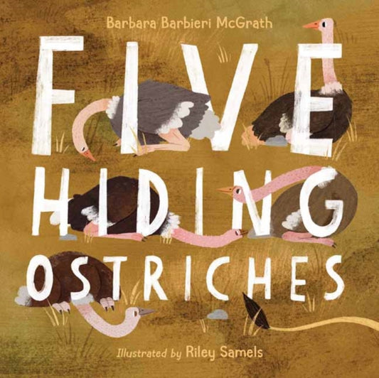 Book cover of: Five Hiding Ostriches. By: Barbara Barbieri McGrath