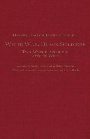 White War, Black Soldiers
