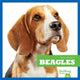 Book cover of: Beagles. By: Kaitlyn Duling