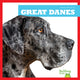 Book cover of: Great Danes. By: Nadia Higgins