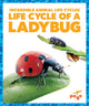 Book cover of: Life Cycle of a Ladybug. By: Karen Latchana Kenney