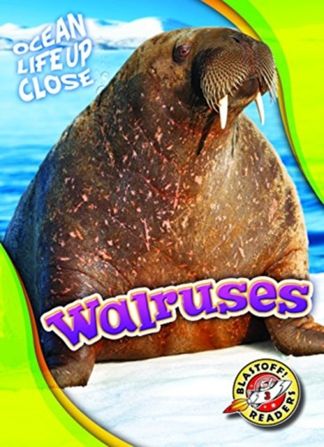 Book cover of: Walruses. By: Kari Schuetz