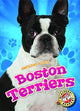 Book cover of: Boston Terriers. By: Christina Leaf