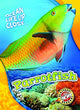 Book cover of: Parrotfish. By: Mari C. Schuh