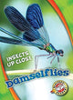 Book cover of: Damselflies. By: Christina Leaf