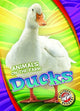 Book cover of: Ducks. By: Kari Schuetz