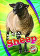 Book cover of: Sheep. By: Christina Leighton