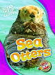 Book cover of: Sea Otters. By: Nathan Sommer