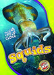 Book cover of: Squids. By: Nathan Sommer