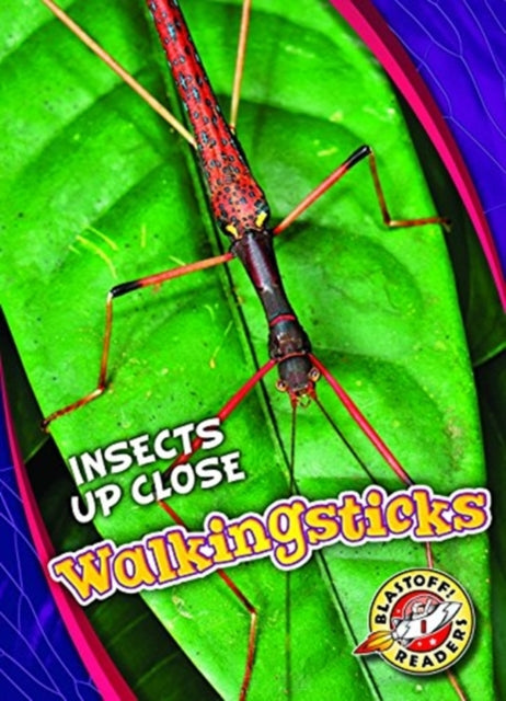 Book cover of: Walkingsticks. By: Patrick Perish