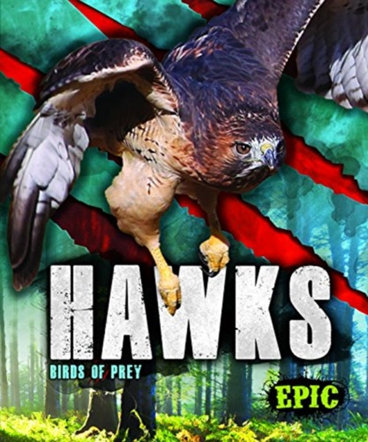 Book cover of: Hawks. By: Nathan Sommer