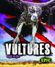 Book cover of: Vultures. By: Nathan Sommer