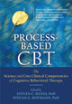Book cover of: Process-Based CBT