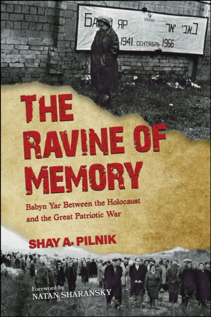 Book cover of: Ravine of Memory. By: Shay A. Pilnik