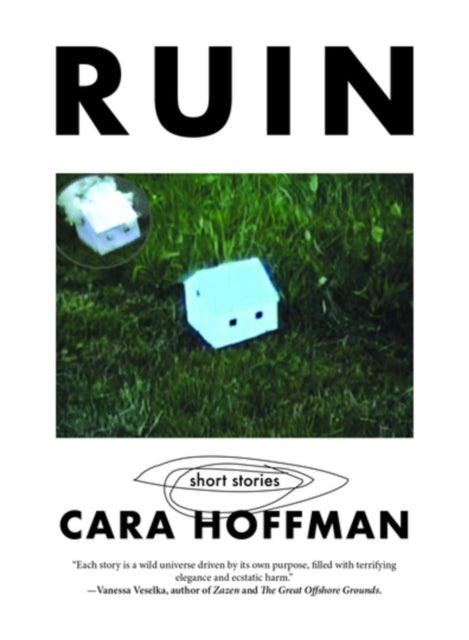 Book cover of: Ruin. By: Cara Hoffman