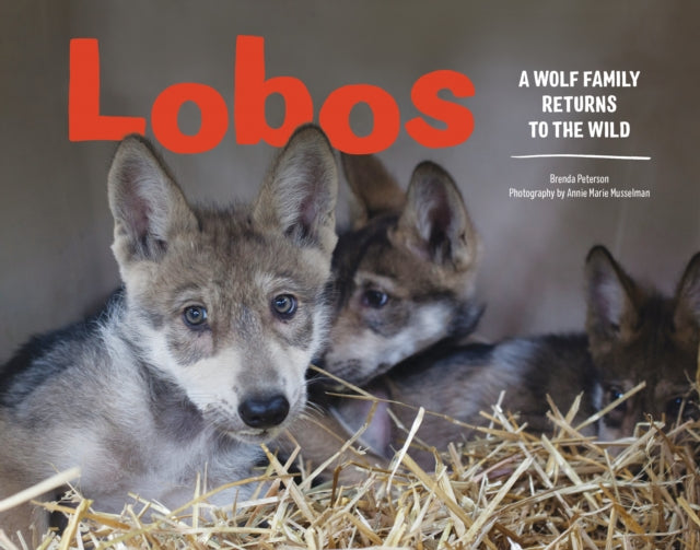 Book cover of: Lobos. By: Brenda Peterson
