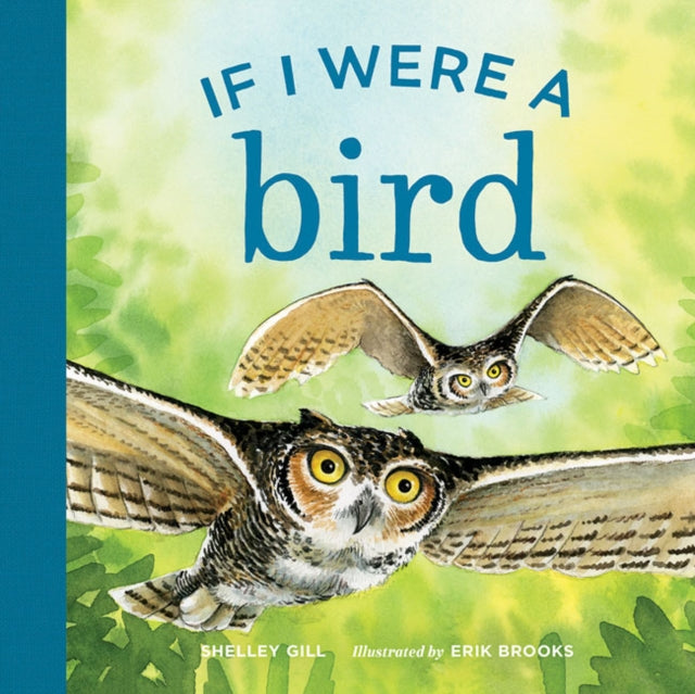 Book cover of: If I were a Bird. By: Shelley Gill