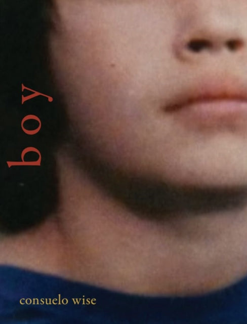 Book cover of: boy. By: Consuelo Wise