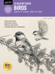 Book cover of: Drawing: Birds. By: Maury Aaseng