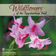 Book cover of: Wildflowers of the Appalachian Trail. By: Leonard Adkins