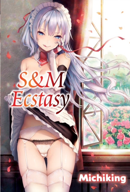 Book cover of: S&M Ecstasy. By: DENPA