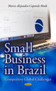 Book cover of: Small Business in Brazil. By: Maria Alejandra Caporale Madi