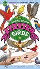 Book cover of: Soaring, Singing Tattoo Birds. By: K. L. Murphy