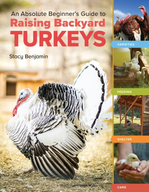 Book cover of: An Absolute Beginner's Guide to Raising Backyard Turkeys. By: Stacy Benjamin