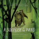 Book cover of: Surprise in the Wood