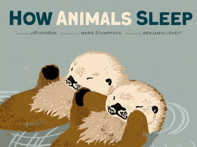 Book cover of: How Animals Sleep. By: Jiri Dvorak