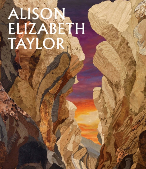 Book cover of: Alison Elizabeth Taylor: The Sum of It. By: Allison Kemmerer