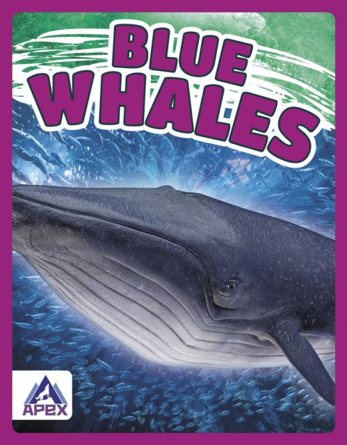 Book cover of: Blue Whales. By: Katie Chanez