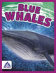 Book cover of: Blue Whales. By: Katie Chanez