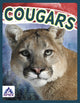 Book cover of: Cougars. By: Sophie Geister-Jones