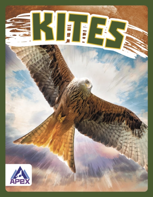Book cover of: Kites. By: Connor Stratton